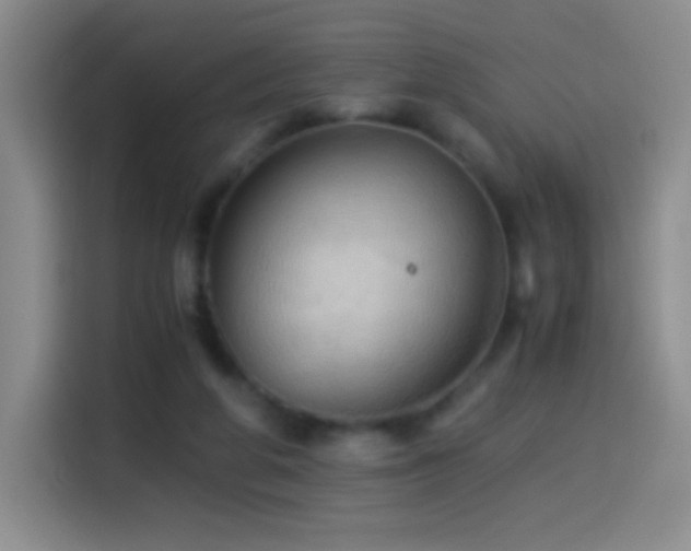 X0000114540210200910191348