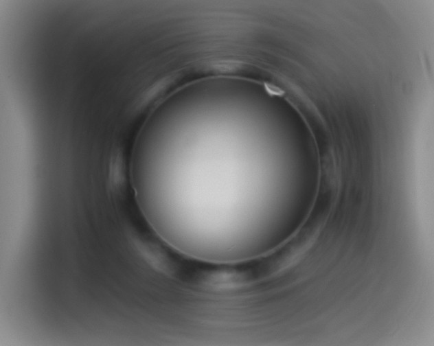 X0000114540212200910191348