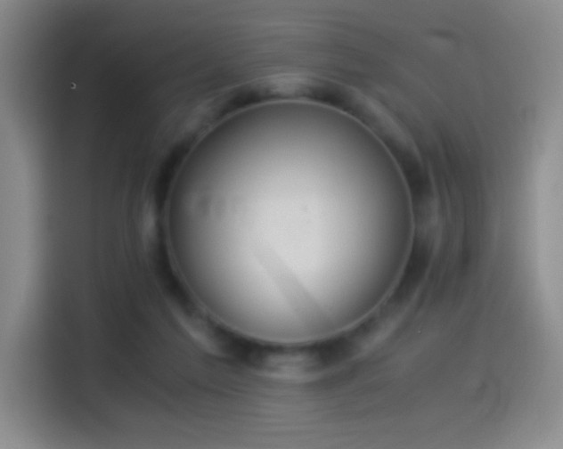 X0000114540213200910191348