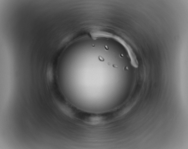 X0000114540216200910191348