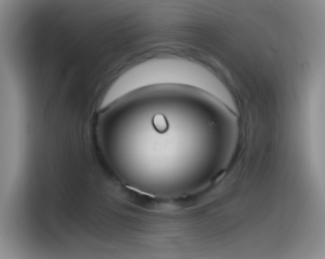 X0000114540217200910191348