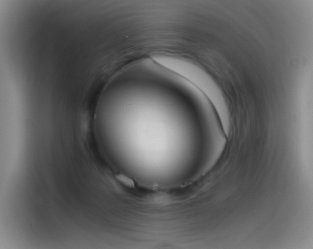 X0000114540219200910191348