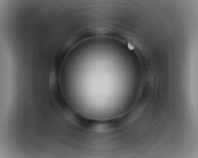 X0000114540220200910191348