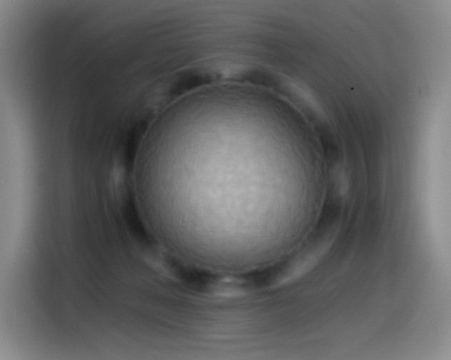 X0000114540222200910191348