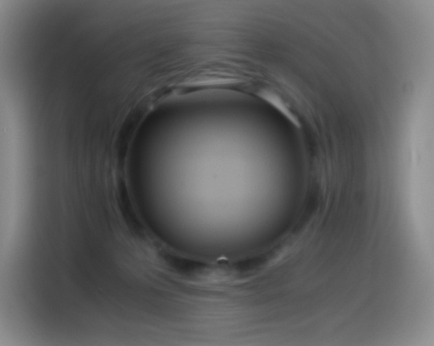 X0000114540223200910191348