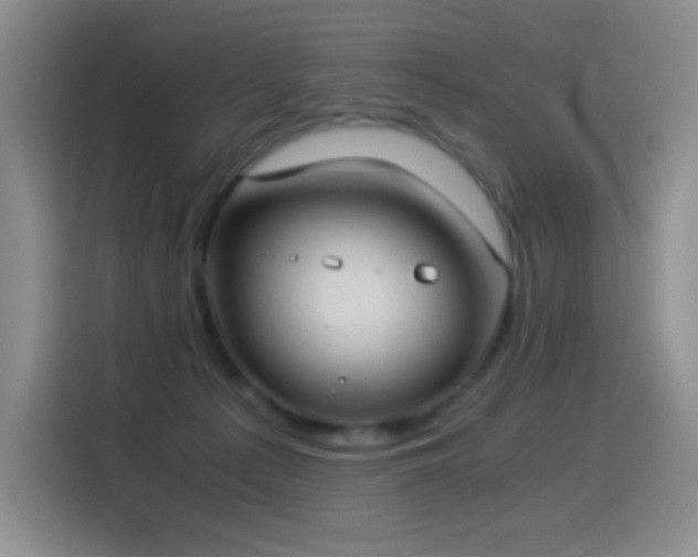 X0000114540225200910191348