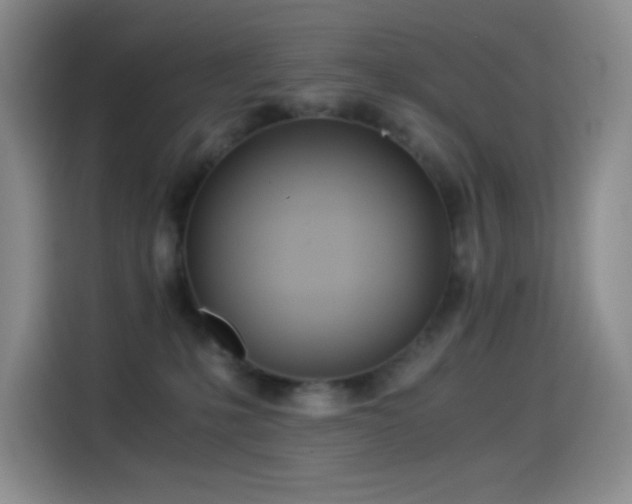 X0000114540231200910191348