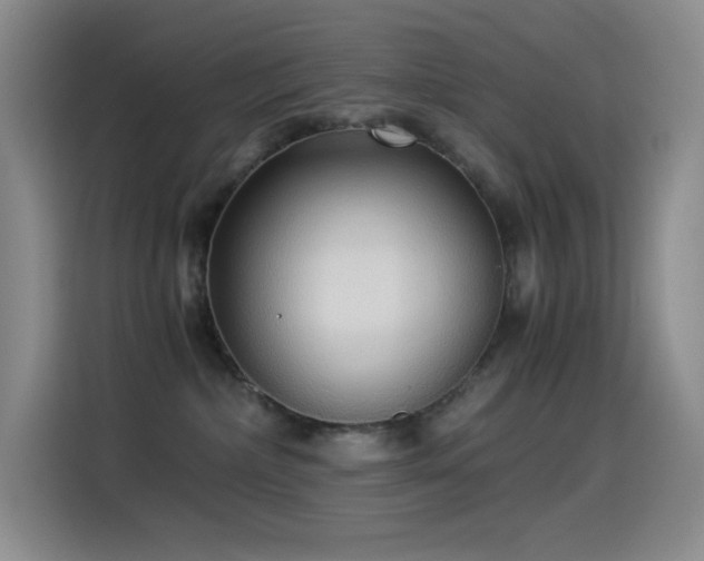 X0000114540236200910191348