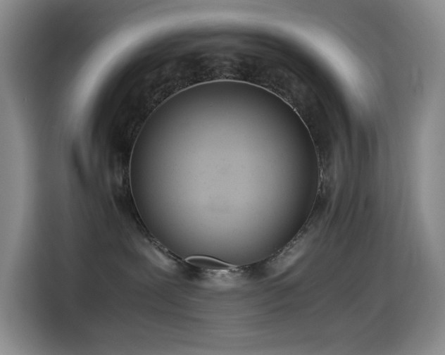 X0000114540239200910191348