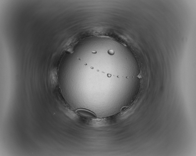 X0000114540240200910191348