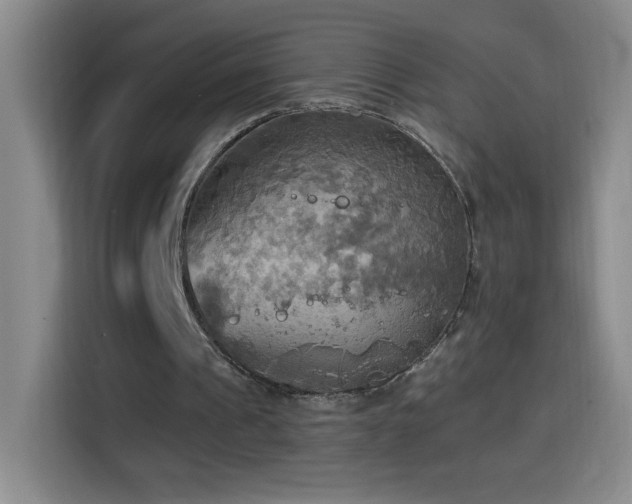 X0000114540241200910191347