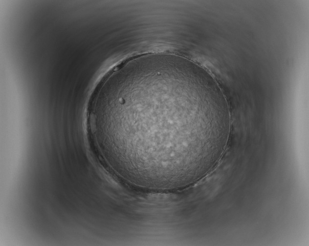 X0000114540242200910191347