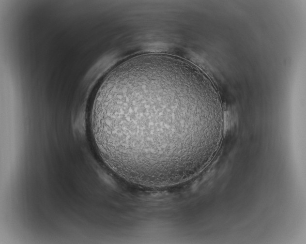 X0000114540243200910191347