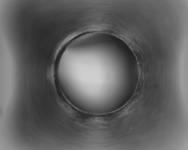 X0000114540244200910191347