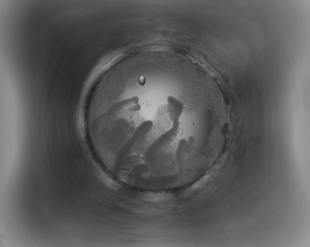 X0000114540245200910191347