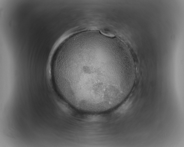 X0000114540246200910191347