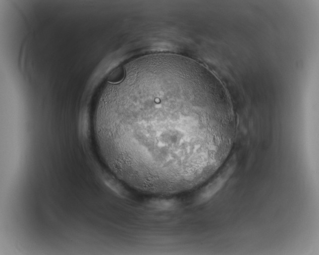 X0000114540247200910191347