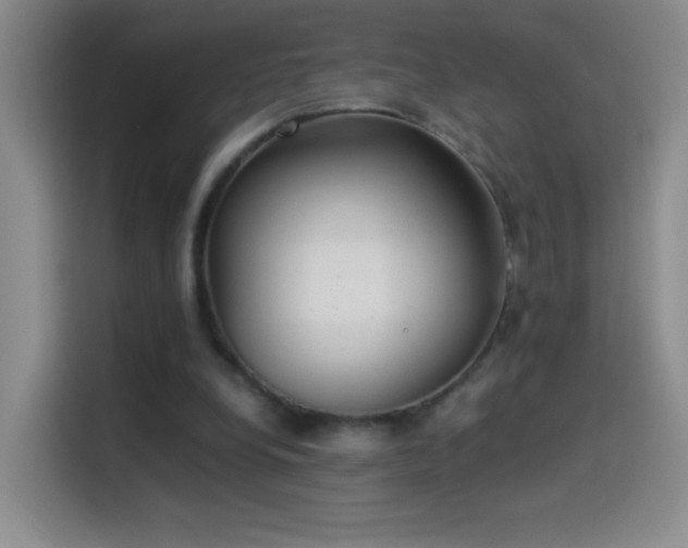 X0000114540248200910191347