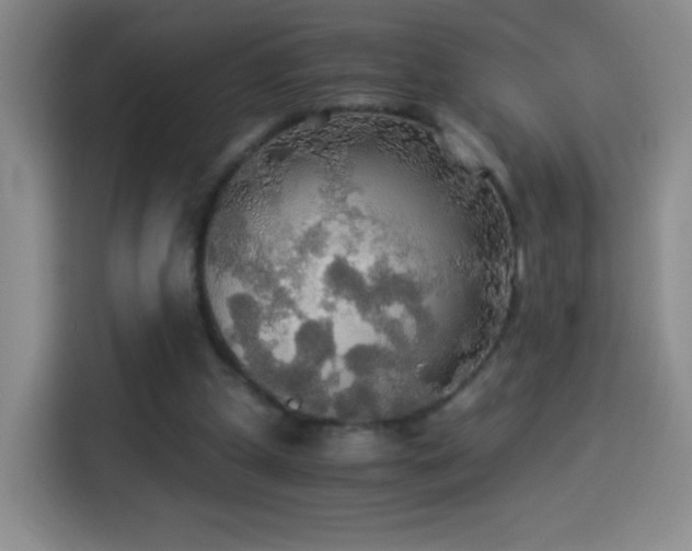 X0000114540249200910191347