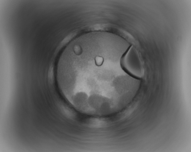 X0000114540250200910191347