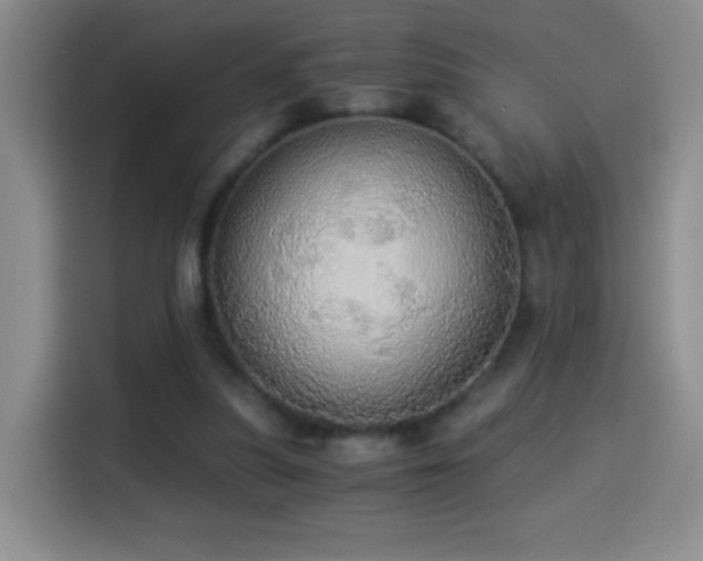 X0000114540251200910191347