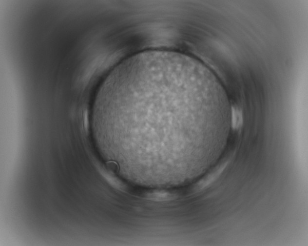 X0000114540253200910191347