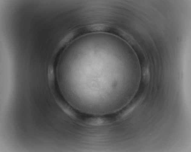 X0000114540254200910191347