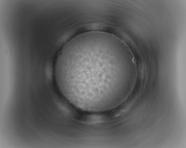 X0000114540255200910191347