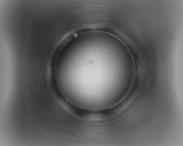 X0000114540256200910191347