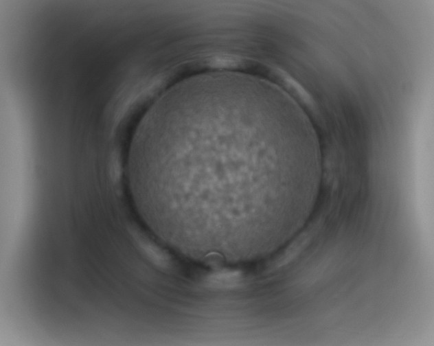 X0000114540257200910191347