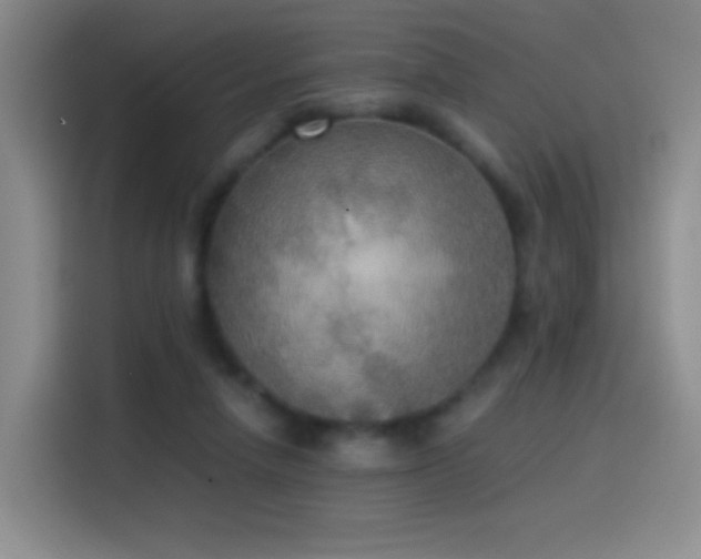 X0000114540258200910191347