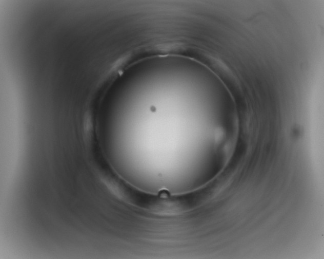 X0000114540260200910191347