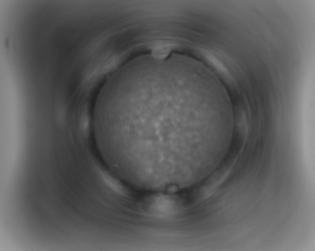 X0000114540261200910191347