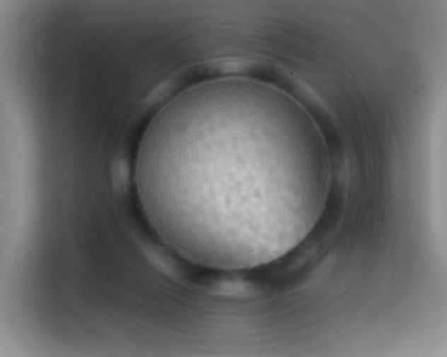 X0000114540262200910191347