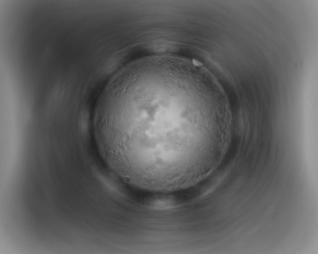 X0000114540263200910191348