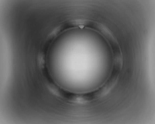 X0000114540264200910191348