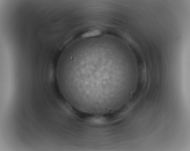 X0000114540266200910191348