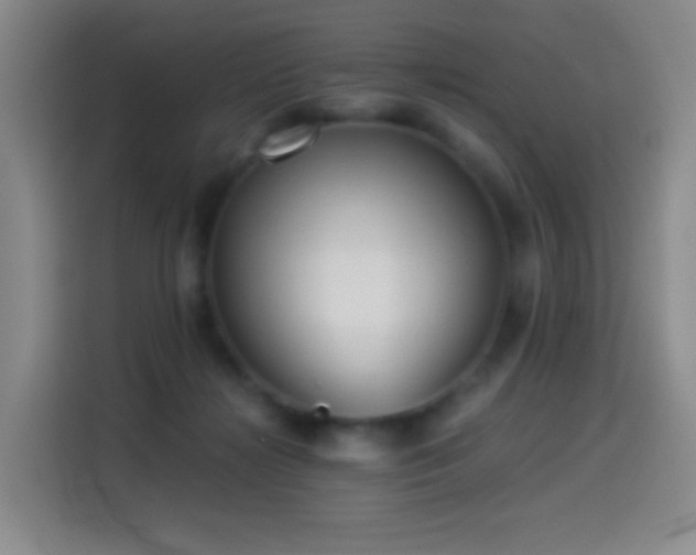 X0000114540268200910191348