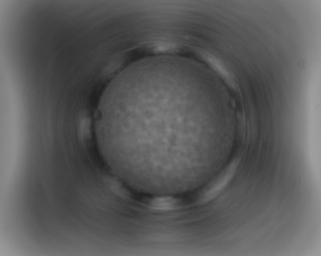 X0000114540269200910191348