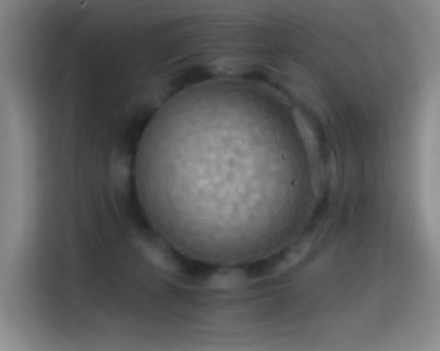 X0000114540271200910191348