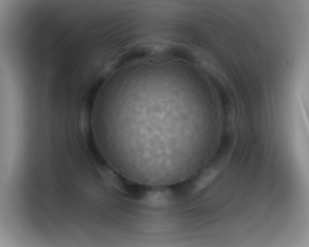 X0000114540274200910191348