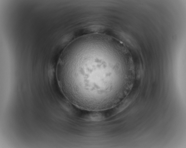 X0000114540279200910191348