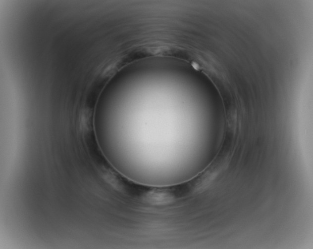 X0000114540280200910191348