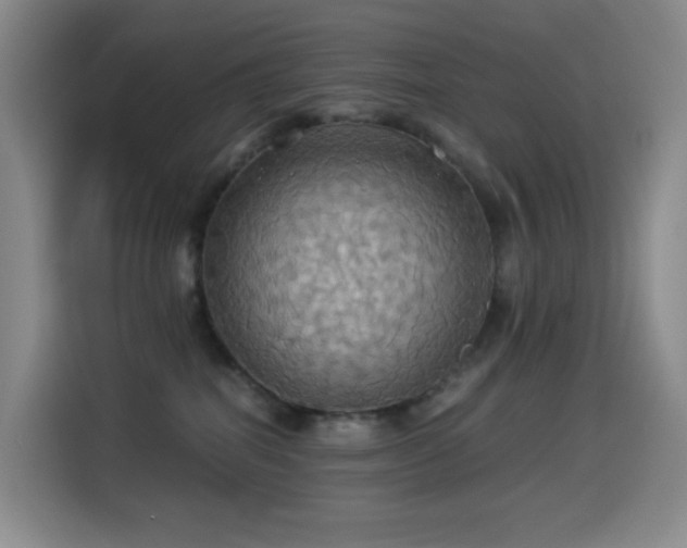 X0000114540282200910191348