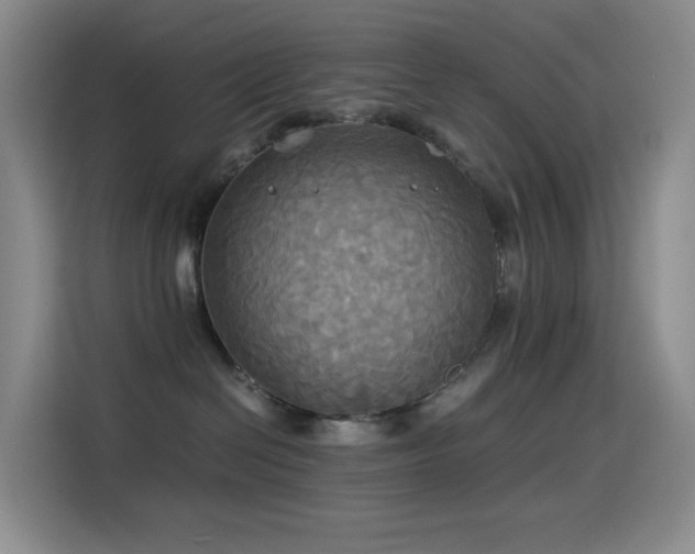 X0000114540286200910191348