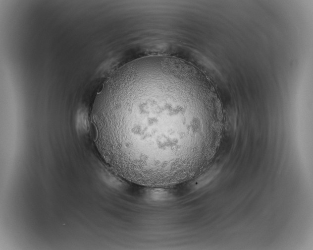 X0000114540287200910191348