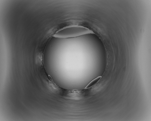 X0000114540288200910191348