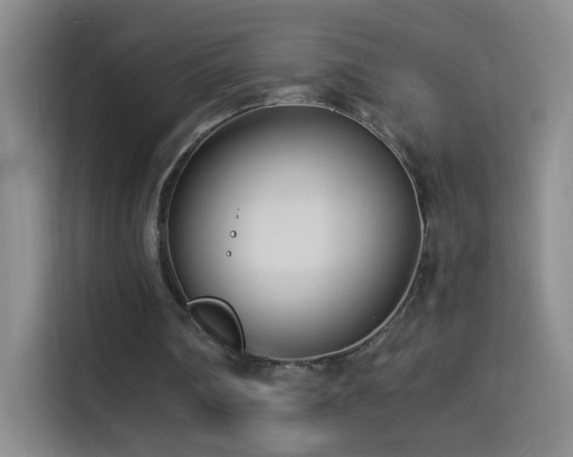 X0000114540290200910191347