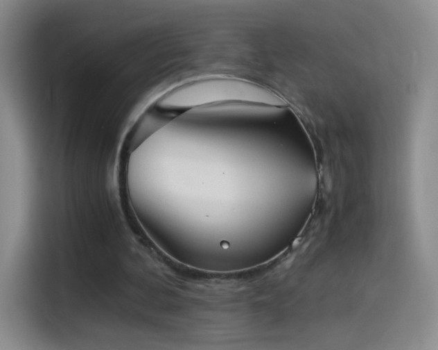 X0000114540292200910191347