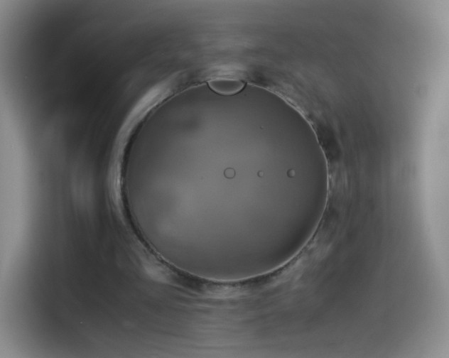 X0000114540293200910191347